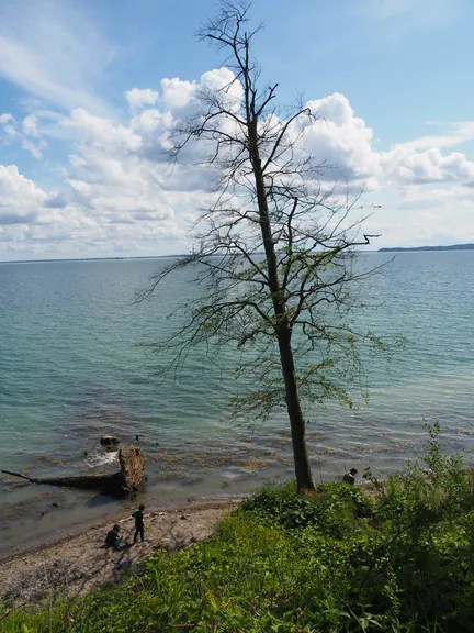 Trelde Næs (Fredericia) (Denemarken) 